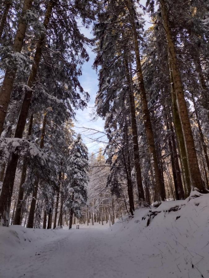 Baita La Stradella Serravalle  Екстер'єр фото